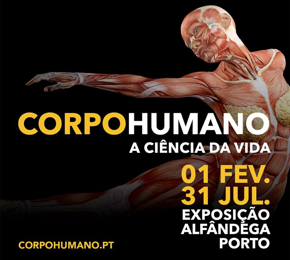 Corpo Humano - A Cincia da Vida