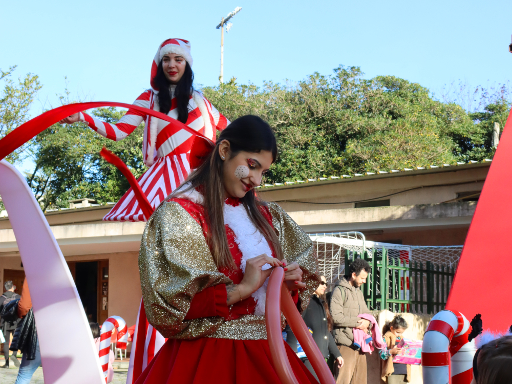 Um Natal Encantado